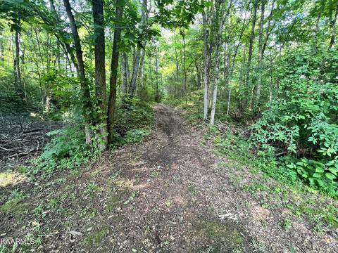 2240 Pleasant Ridge Rd, Talbott, TN 37877 photo 10