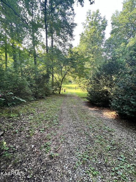 2240 Pleasant Ridge Rd, Talbott, TN 37877 photo 16