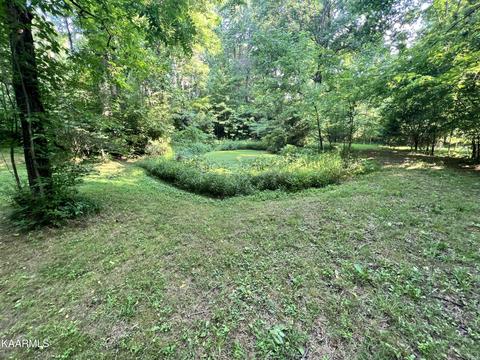 2240 Pleasant Ridge Rd, Talbott, TN 37877 photo 6