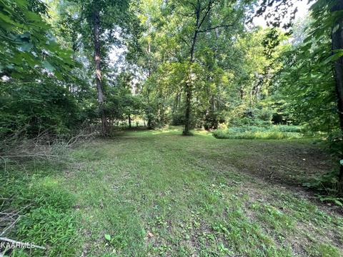 2240 Pleasant Ridge Rd, Talbott, TN 37877 photo 8