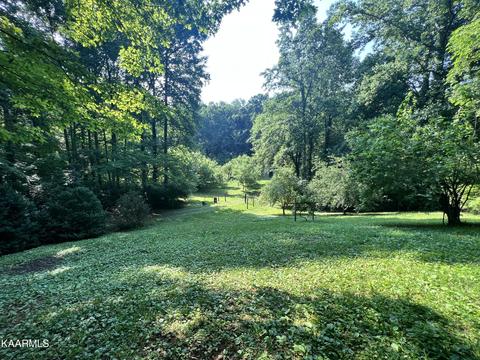 2240 Pleasant Ridge Rd, Talbott, TN 37877 photo 4