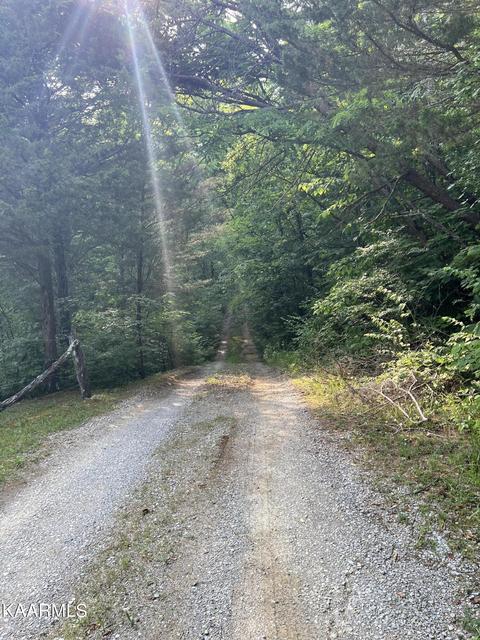2240 Pleasant Ridge Rd, Talbott, TN 37877 photo 5