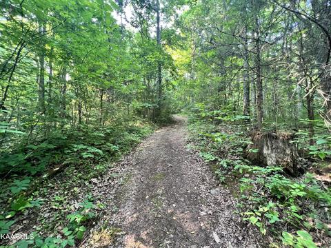 2240 Pleasant Ridge Rd, Talbott, TN 37877 photo 9
