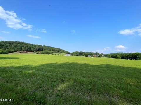 Lot 12r Secluded River Circle, Parrottsville, TN 37843