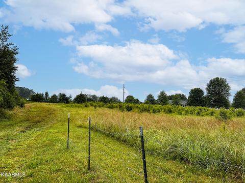 Tarr Rd, Talbott, TN 37877 photo 7