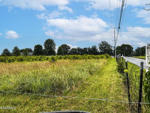 Tarr Rd, Talbott, TN 37877 photo 9