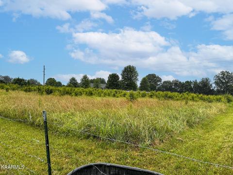 Tarr Rd, Talbott, TN 37877 photo 8