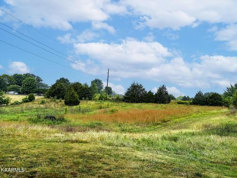 Tarr Rd, Talbott, TN 37877 photo 13