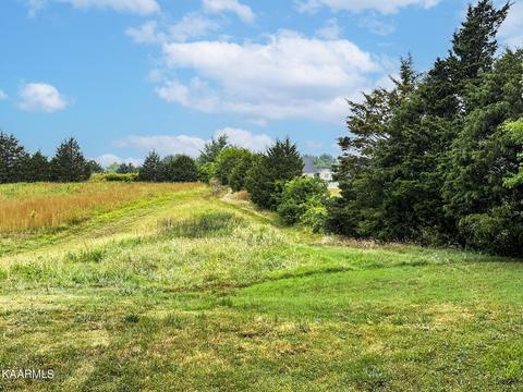 Tarr Rd, Talbott, TN 37877 photo 12