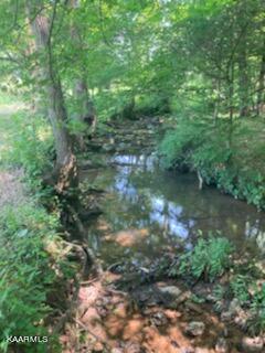 1222 Smith School Rd, Strawberry Plains, TN 37871