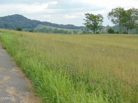 APT Starling Lane, Speedwell, TN 37870