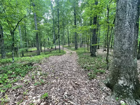 0 Loop Rd, Rockwood, TN 37854
