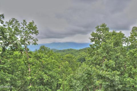 lot15 E Stackstone Rd, Sevierville, TN 37862 photo 16