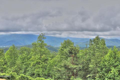 lot15 E Stackstone Rd, Sevierville, TN 37862 photo 22