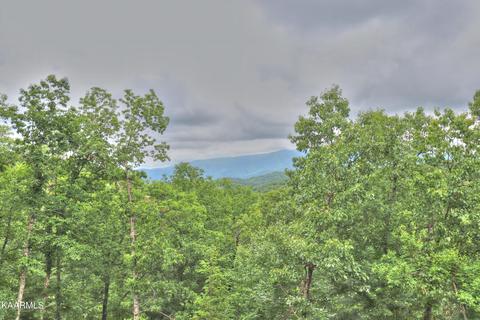 lot15 E Stackstone Rd, Sevierville, TN 37862 photo 15