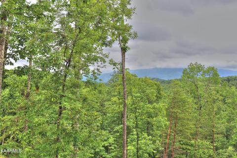 lot15 E Stackstone Rd, Sevierville, TN 37862 photo 13
