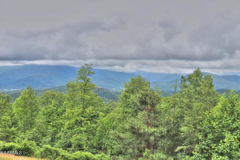 lot15 E Stackstone Rd, Sevierville, TN 37862 photo 23