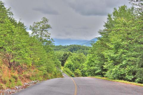 lot15 E Stackstone Rd, Sevierville, TN 37862 photo 19