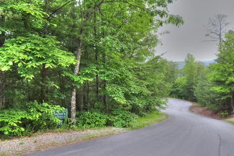 lot15 E Stackstone Rd, Sevierville, TN 37862 photo 6