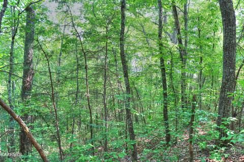 lot15 E Stackstone Rd, Sevierville, TN 37862 photo 11