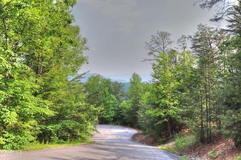 lot15 E Stackstone Rd, Sevierville, TN 37862 photo 5