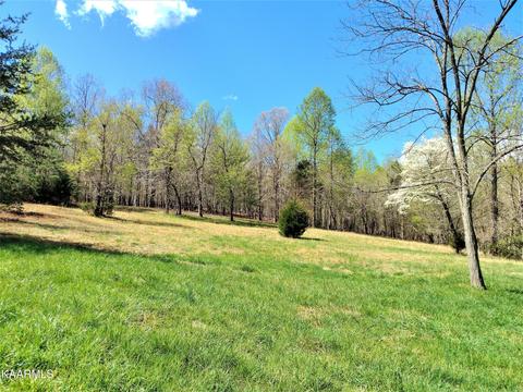 115 Otter Ln, Lenoir City, TN 37772