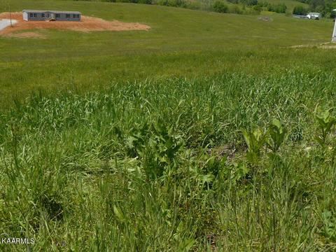 315 Howell River Road, Rutledge, TN 37861