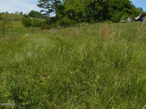302 Howell River Road, Rutledge, TN 37861