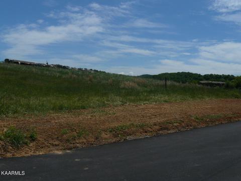 87 Howell River Road, Rutledge, TN 37861