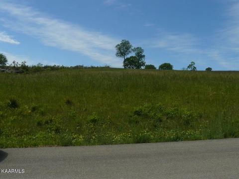 103 Holston Shores Drive, Rutledge, TN 37861