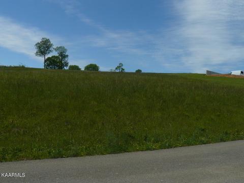 104 Holston Shores Drive, Rutledge, TN 37861