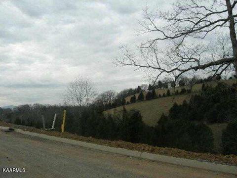 Ally Ln Lane, Sevierville, TN 37876