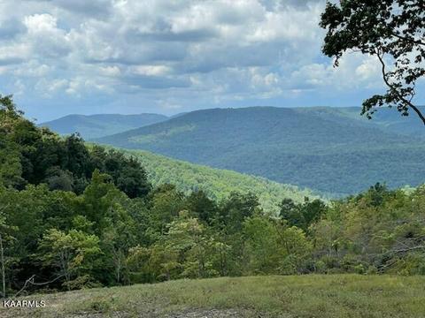 Daddy's Ridge Lane, Crawford, TN 38554
