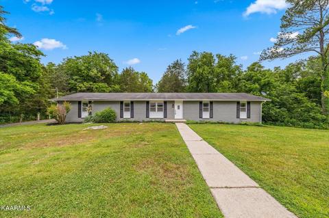10103 Ouida Ln, Strawberry Plains, TN 37871