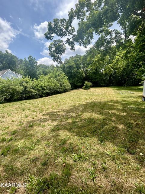 Maple St, Alcoa, TN 37701 photo 2