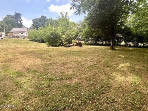 Maple St, Alcoa, TN 37701 photo 3