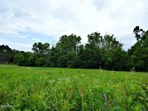 Lot 35 Smokey Meadows Drive, Dandridge, TN 37725