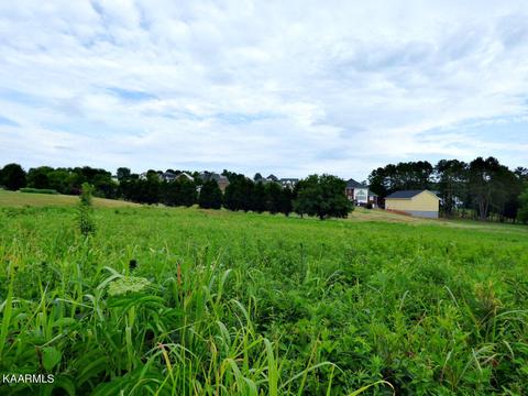 Lot 34 Smokey Meadows Drive, Dandridge, TN 37725