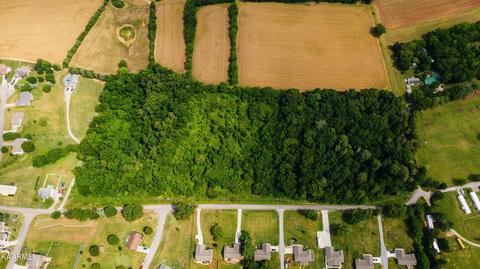 Gregory Rd, Greenback, TN 37742 photo 10