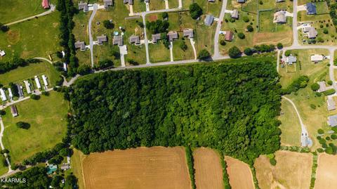 Gregory Rd, Greenback, TN 37742 photo 8
