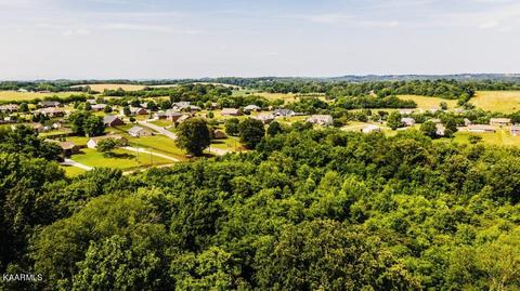 Gregory Rd, Greenback, TN 37742 photo 4