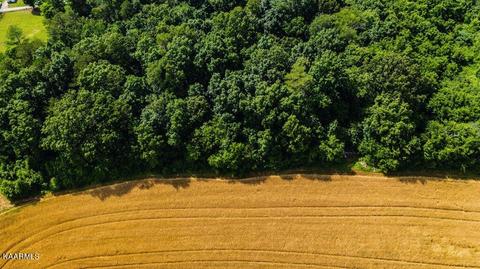 Gregory Rd, Greenback, TN 37742 photo 9