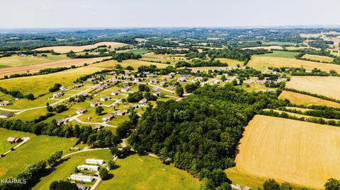 Gregory Rd, Greenback, TN 37742 photo 6
