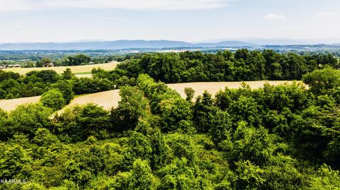 Gregory Rd, Greenback, TN 37742 photo 3