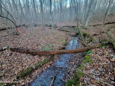 Cumberland Cove Rd, Monterey, TN 38574