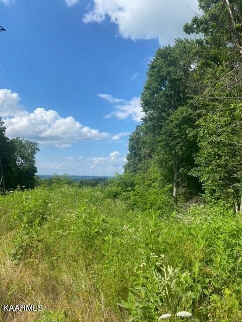Critter Mountain Way Lot 4, Newport, TN 37821