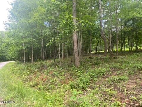 Critter Mtn Way Lot 5, Newport, TN 37821