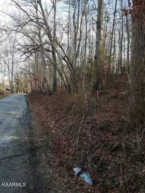 Old Cave Springs Rd, Tazewell, TN 37879