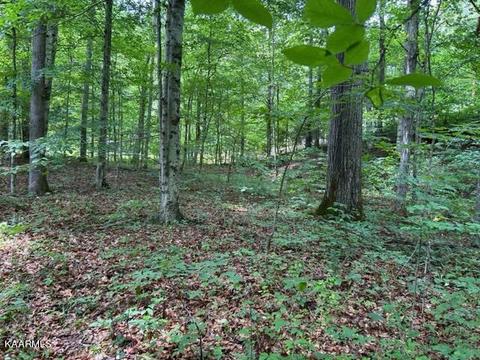 Tanglewood Drive, Sharps Chapel, TN 37866