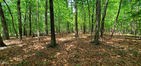 E Overlook Rd, Monterey, TN 38574